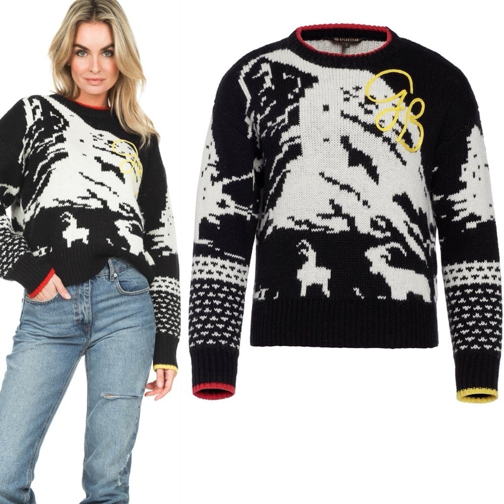 Goldbergh Rox Multicolor Knit Sweater - Picture 2 of 12